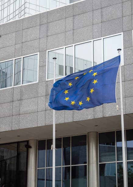 EU Corporate Sustainability Due Diligence Directive (CSDDD)